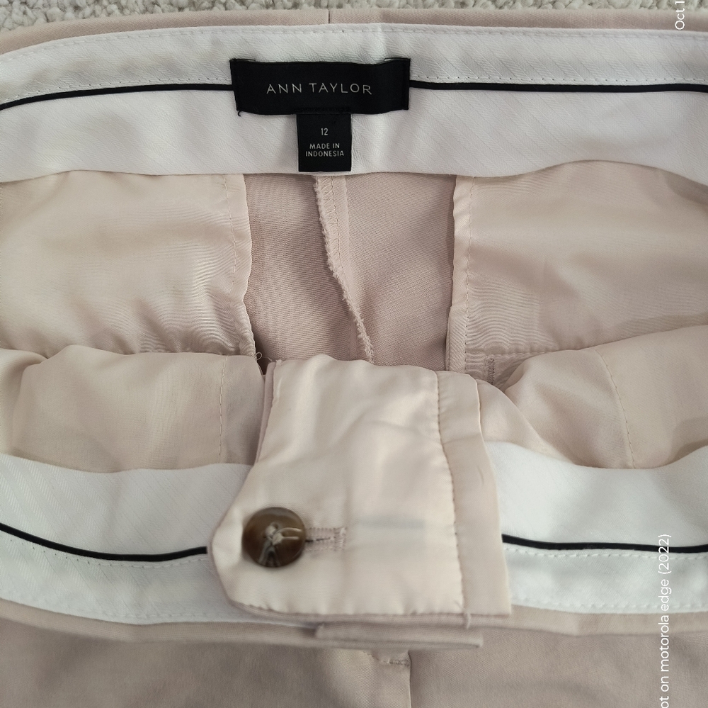 Ann Taylor Cream Chino